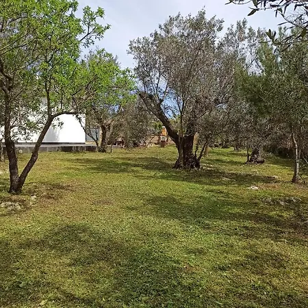 Villetta Degli Ulivi * Gallipoli