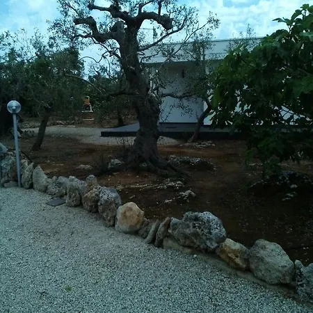 Villetta Degli Ulivi Holiday home Gallipoli